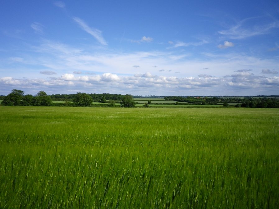 A View to Snip Wood and Uphoe from near Castle Farm - 17th June 2010