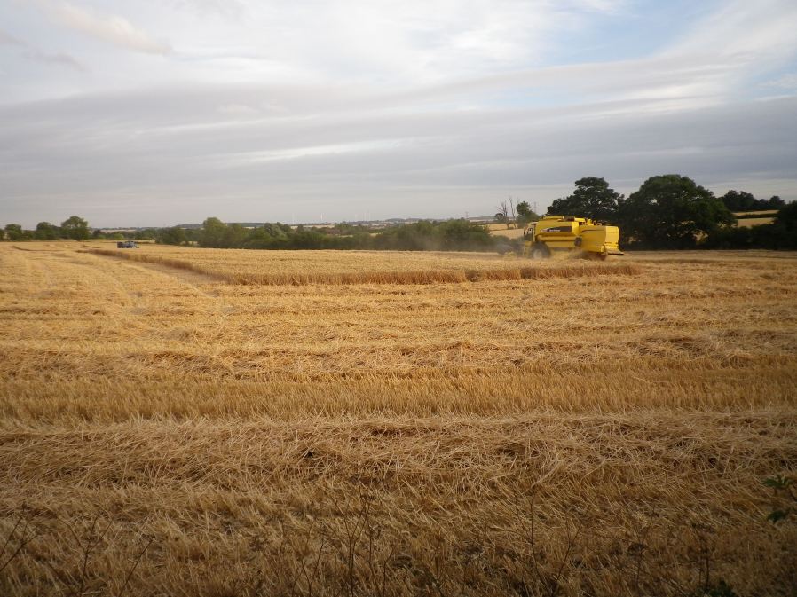 View from Castle Road towards Lavendon Village - 29th July 2010