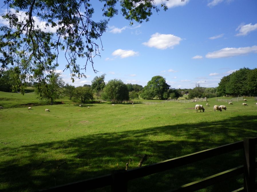 Site of the Former Fishponds of Lavendon Abbey - 22 August 2010