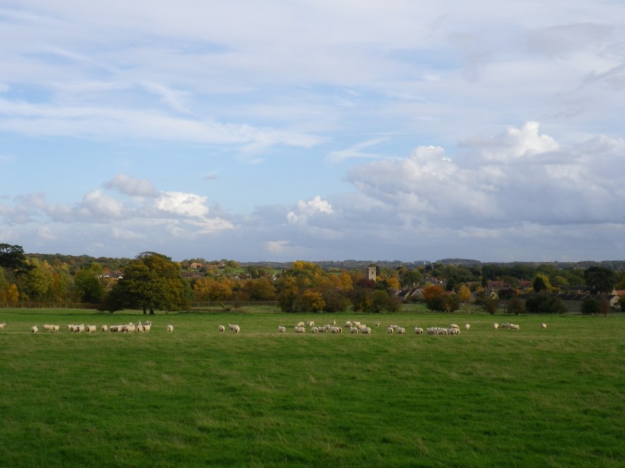 View to the Village from the Footpath above New Row - 30th October 2010