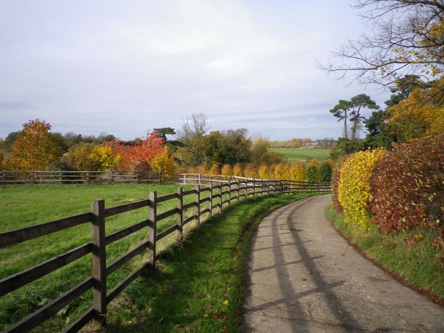 The Three Shire Way near Lavendon Grange - 3rd November 2010