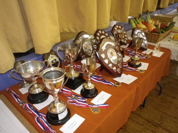 2015 Lavendon Show Trophies