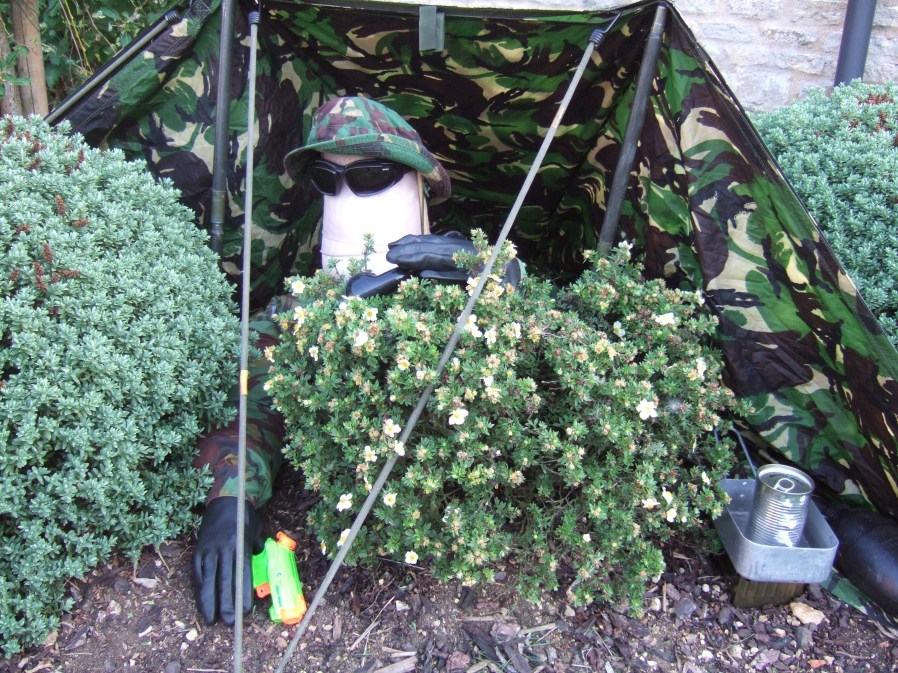 Scarecrow - Longmire