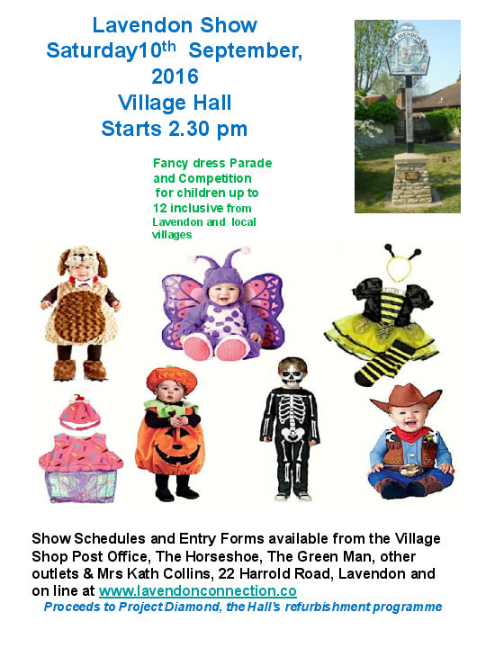 2016 Lavendon Show - Fancy Dress Competition